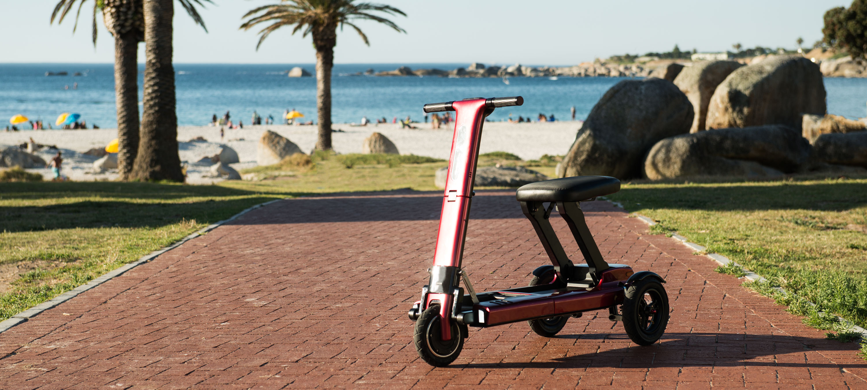 Material medico e intrumentos medicos