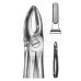 FORCEP DENTAL TALMED