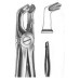 FORCEP DENTAL TALMED